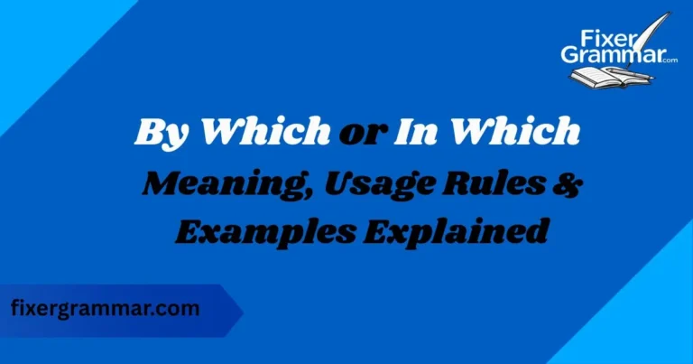 by-which-vs-in-which-meaning