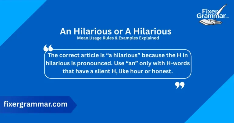 an-hilarious-or-a-hilarious-meaning