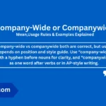 company-wide-or-companywide-meaning