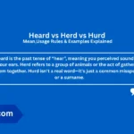 heard-vs-herd-meaning