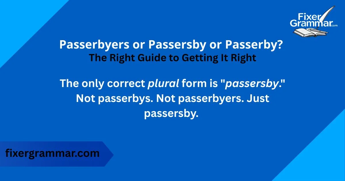 passerbyers-or-passersby-or-passerby