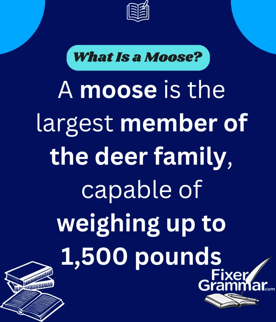 moose-meaning