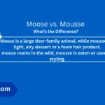 moose-vs-mousse-difference