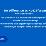no-difference-vs-no-different-difference